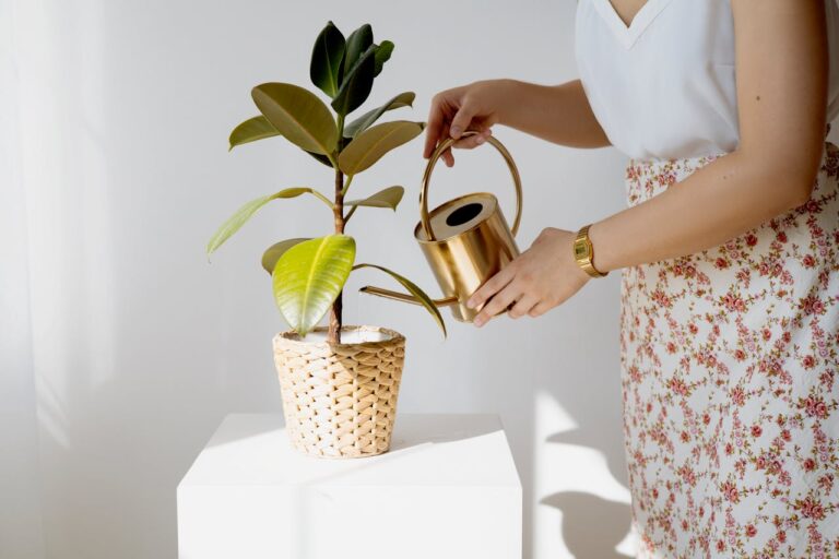 How to Use Social Media to Grow Your Business